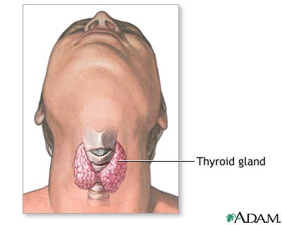 Normal anatomy