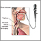 Upper airway test