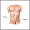 Laparoscopic surgery - series