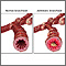 Normal versus asthmatic bronchiole