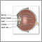 Lateral eye anatomy