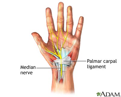 Normal anatomy