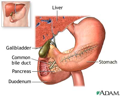 Normal anatomy