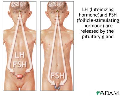 Pituitary hormones