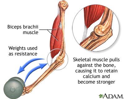 Bone-building exercise