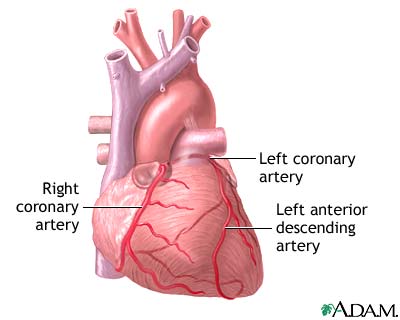 Normal anatomy