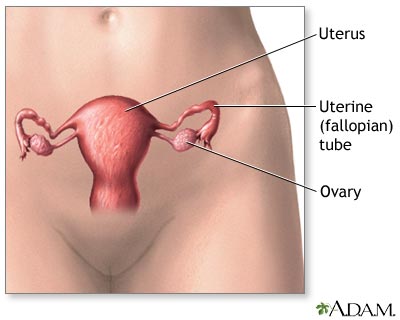 Normal anatomy