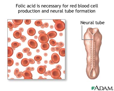 Folic acid