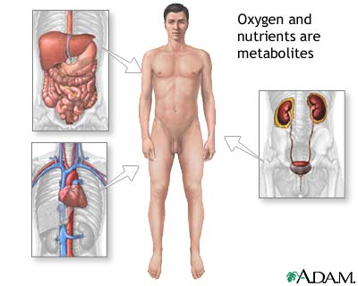 Metabolite