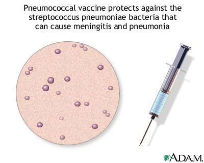 Pneumococcal vaccine