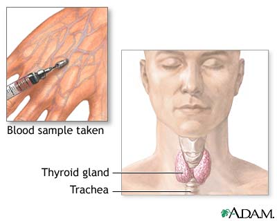 Thyroid function test