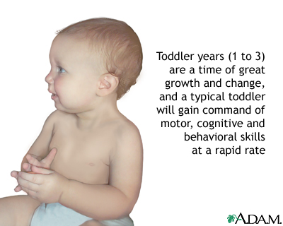 Toddler development