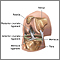 Knee arthroscopy  - series